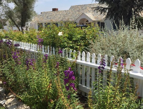 Rolling Hills Real Estate Snapshot January 2019