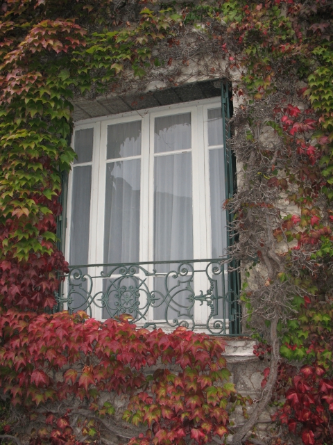 Mini balcony style window surrounded by ivy.