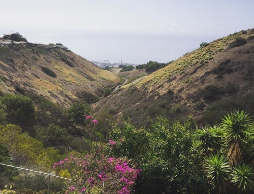 Palos Verdes CA Homes Market Update – November 2016