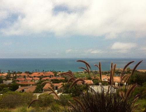 Palos Verdes Homes Market Snapshot August 2019