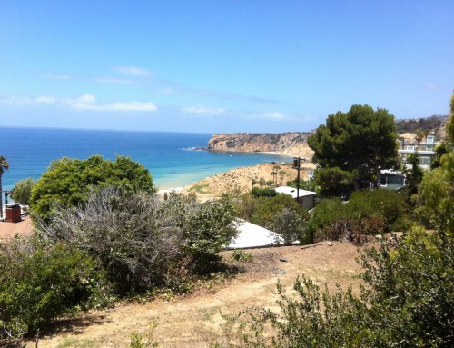 Palos Verdes Real Estate Snapshot June 2019