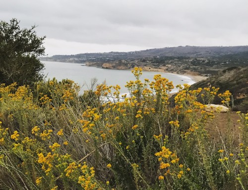 Palos Verdes Real Estate Snapshot October 2018