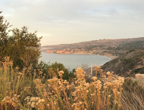 Palos Verdes Single Family Homes Snapshot for November 2018